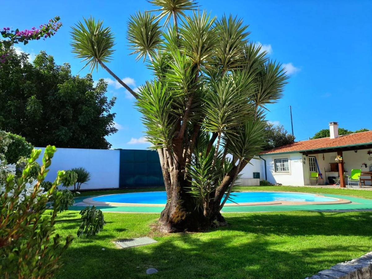 הוילה Cabecos Qm - Quinta Da Morgadinha - Casa Em Quinta Rural מראה חיצוני תמונה