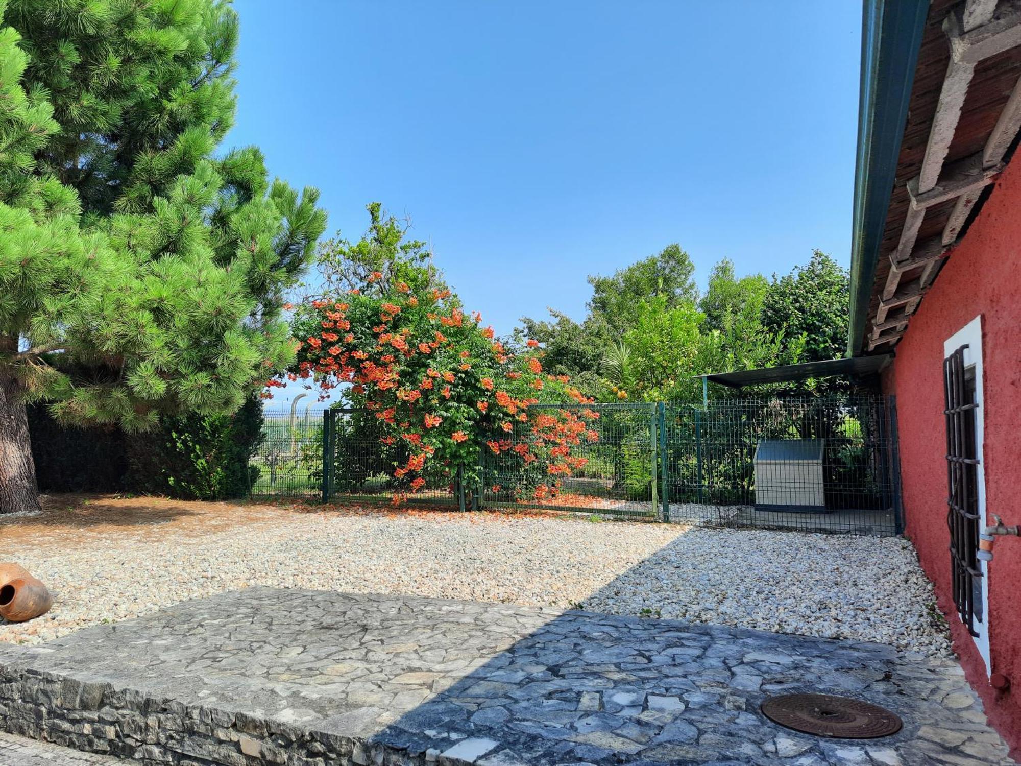 הוילה Cabecos Qm - Quinta Da Morgadinha - Casa Em Quinta Rural מראה חיצוני תמונה